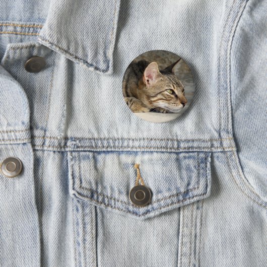 Tabby Cat Button (In situ)