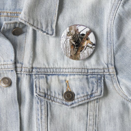 Tabby Cat Button (In situ)