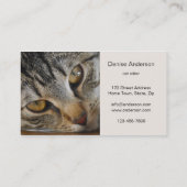 Tabby Cat - Cat Sitter Visitekaartje (Achterkant)