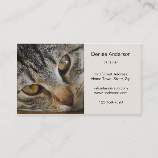 Tabby Cat - Cat Sitter Visitekaartje (Achterkant)