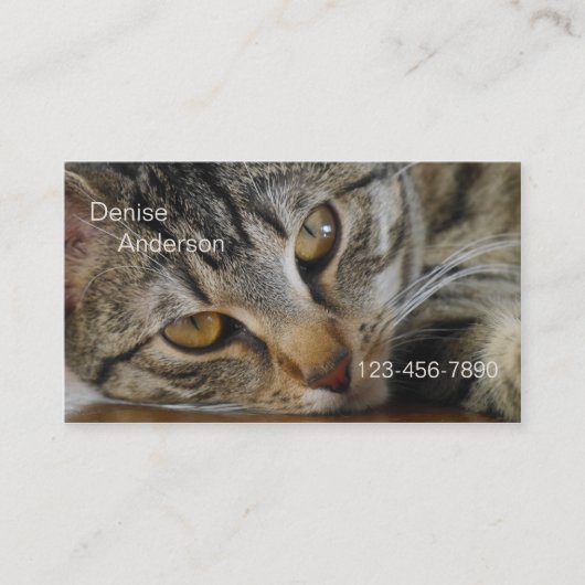 Tabby Cat - Cat Sitter Visitekaartje (Voorkant)