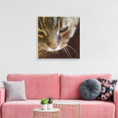 Tabby Cat Close Up Verpakt Canvas (Insitu (Woonkamer))