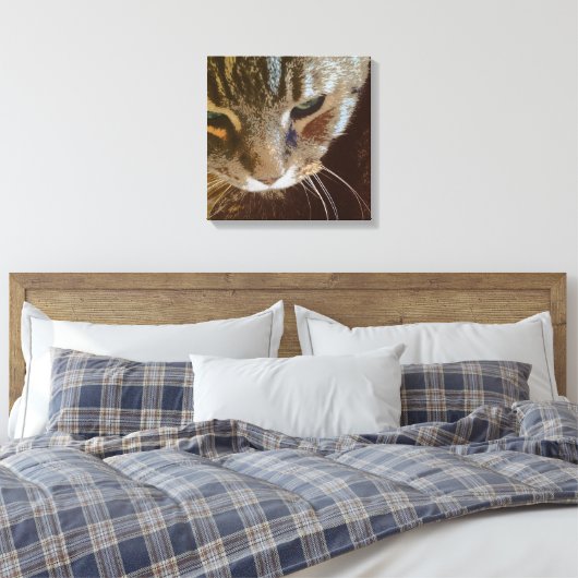 Tabby Cat Close Up Verpakt Canvas (Insitu (Slaapkamer))
