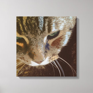 Tabby Cat Close Up Verpakt Canvas Afdruk