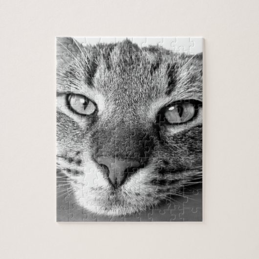 TABBY CAT CLOSEUP PUZZZLE LEGPUZZEL (Verticaal)