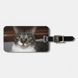 Tabby Cat die naar jou kijkt Bagagelabel