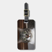 Tabby Cat die naar jou kijkt Bagagelabel (Voorkant verticaal)