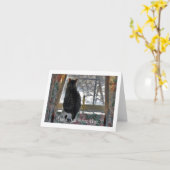 Tabby Cat die uitkijkt Venster Kaart (Gele Bloem)