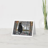 Tabby Cat die uitkijkt Venster Kaart (Voorkant)