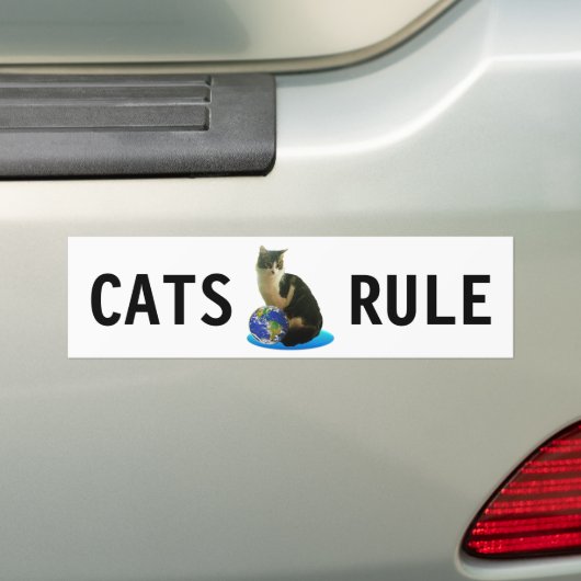 Tabby Cat & Earth Wereldbol Bumpersticker (Op auto)