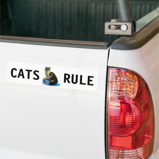 Tabby Cat & Earth Wereldbol Bumpersticker (Op Truck)