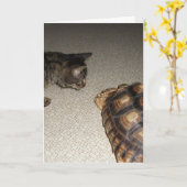 Tabby Cat en Sulcata schildpad Kaart (Gele Bloem)
