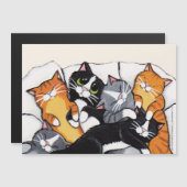 Tabby Cat en Tuxedo Cat Sleepover (Voorkant / Achterkant)