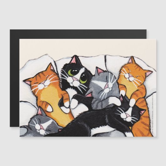 Tabby Cat en Tuxedo Cat Sleepover (Voorkant / Achterkant)