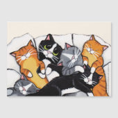 Tabby Cat en Tuxedo Cat Sleepover (Voorkant)