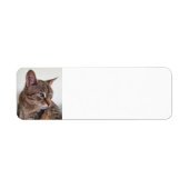 Tabby cat etiket (Voorkant)