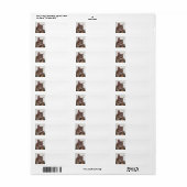 Tabby cat etiket (Full Sheet)