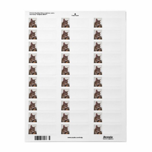 Tabby cat etiket (Full Sheet)