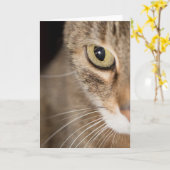Tabby Cat Face Foto Wenskaart Blank Kaart (Gele Bloem)