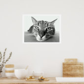 Tabby Cat Face Poster (Keuken)