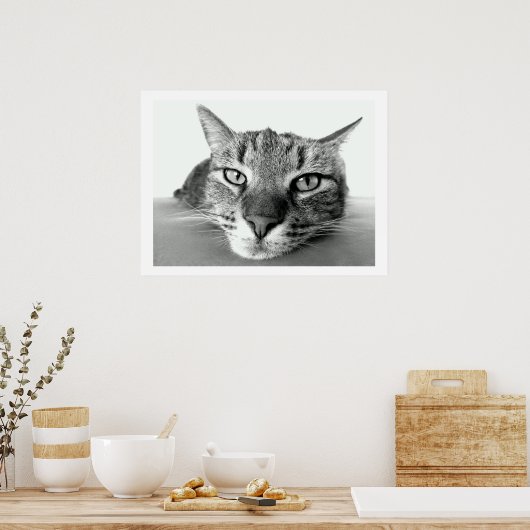 Tabby Cat Face Poster (Keuken)
