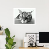Tabby Cat Face Poster (Thuiskantoor)