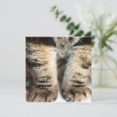 Tabby cat Flat Card, Tabby, Tabby Legs, (Staand voorkant)