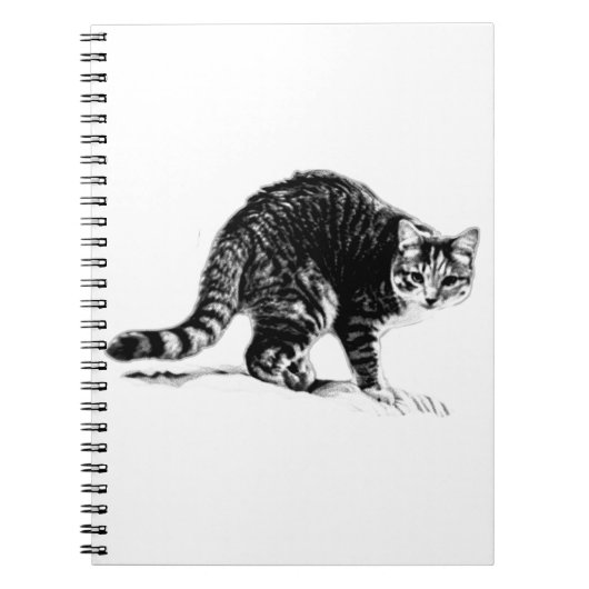 Tabby Cat Full-Body monochroom Notitieboek (Voorkant)