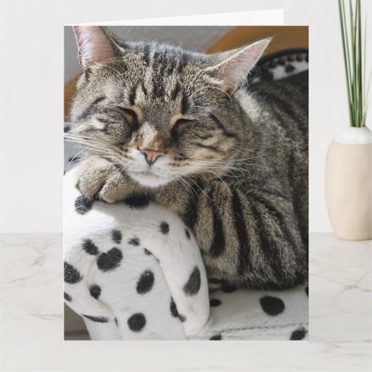 TABBY CAT FUNNY LEUKE VERJAARDAG KAART (Voorkant)