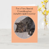 Tabby Cat gepersonaliseerde kleindochter Verjaarda Kaart (Gele Bloem)