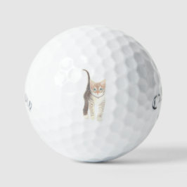 Tabby Cat Golf Balls Golfballen