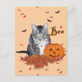 Tabby Cat Halloween Briefkaart (Voorkant)