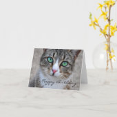 Tabby Cat Happy Birthday Kaart (Gele Bloem)