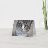 Tabby Cat Happy Birthday Kaart (Voorkant)