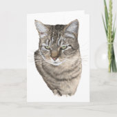 Tabby Cat Head Studie Greep Kaart (Voorkant)