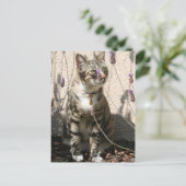Tabby Cat in a Lavendor Bush Briefkaart (Staand voorkant)