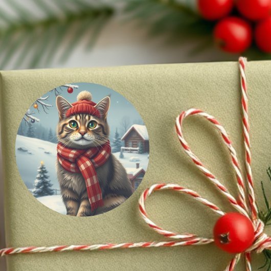 Tabby Cat in Preppy Winterkleding en Pet Winter Ronde Sticker