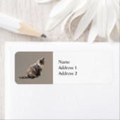 Tabby Cat in Shades of Brown Etiket (Insitu)