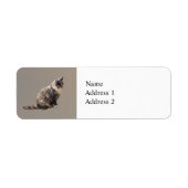 Tabby Cat in Shades of Brown Etiket (Voorkant)