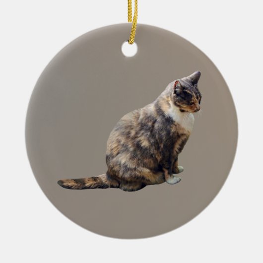 Tabby Cat in Shades of Brown Keramisch Ornament (Voorkant)