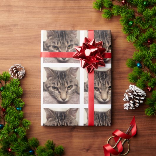 Tabby Cat-Instagram van Shirley Taylor Cadeaupapier (Feestdagen Geschenken)