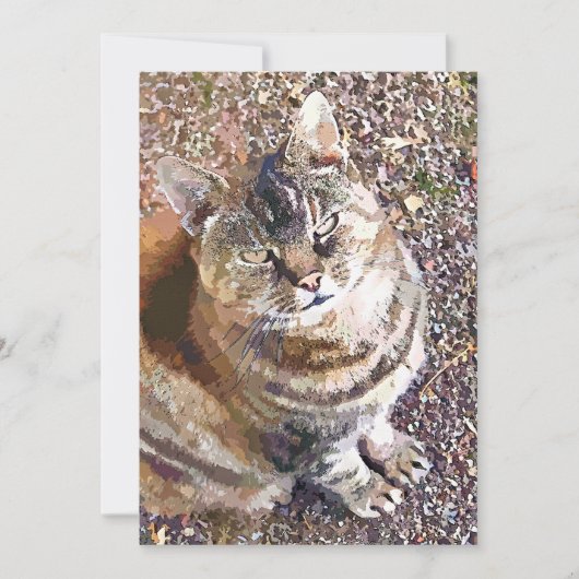 TABBY CAT-INVITATIE (Voorkant)