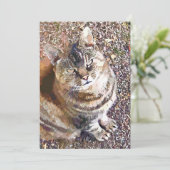 TABBY CAT-INVITATIE (Staand voorkant)