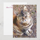 TABBY CAT-INVITATIE (Voorkant / Achterkant)
