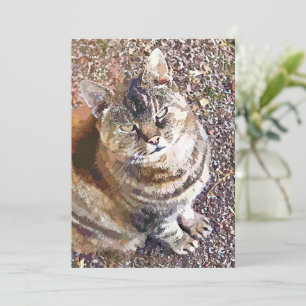 TABBY CAT-INVITATIE