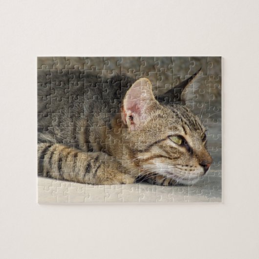Tabby Cat Jigzaag Legpuzzel (Horizontaal)