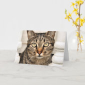 Tabby Cat Kaart (Gele Bloem)