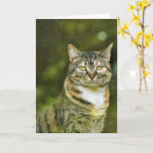Tabby Cat, kaart (Gele Bloem)