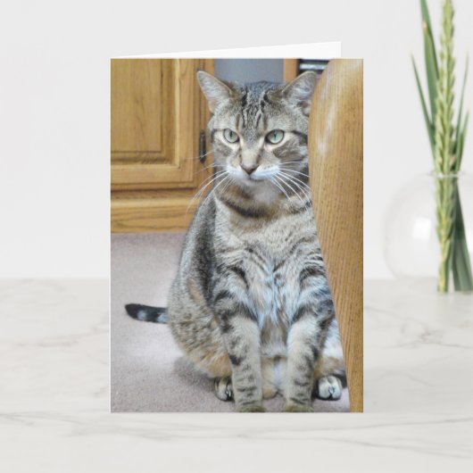 Tabby Cat Kaart (Voorkant)