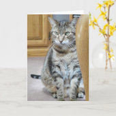Tabby Cat Kaart (Gele Bloem)
